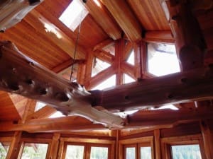 Beautiful Beams in the Reichman Project