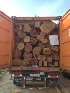logs-in-truck