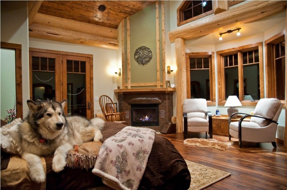 luxury master bedroom with husky on bed