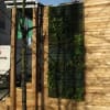 vertical wall garden