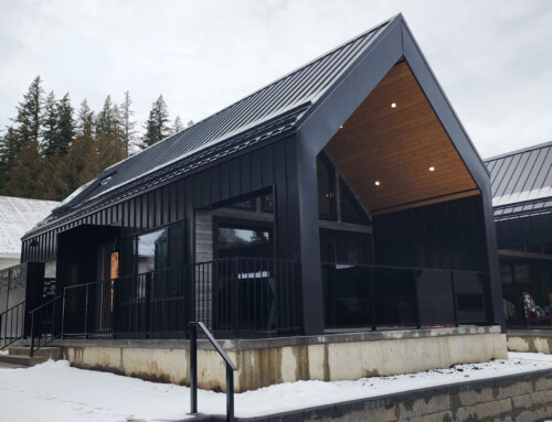 The Woodland Modern Cabin Design